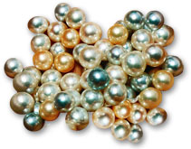 akoya-pearls