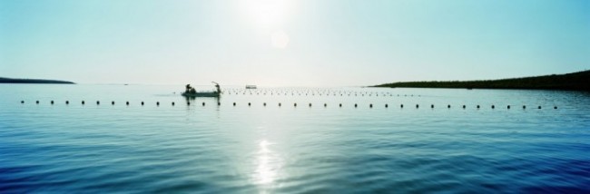 Paspaley 2 AurLEKIAS - AB BOATS ON LINES (1)